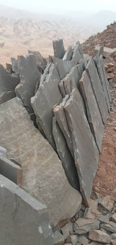 1000027853