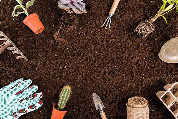 natural-fertilizer-14