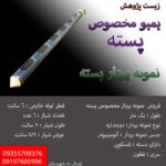 بمبو پسته
