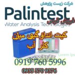 پالین تست کست