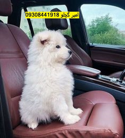 0be9755fb3bd33a1badde0cf794f748b