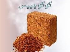 کوکوچیپس مایادشت سامان