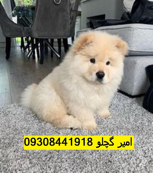 1cdeeef75751154c12c8b150a039c3d4