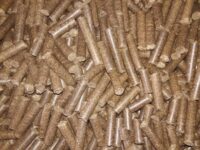 فروش کنجاله کلزا