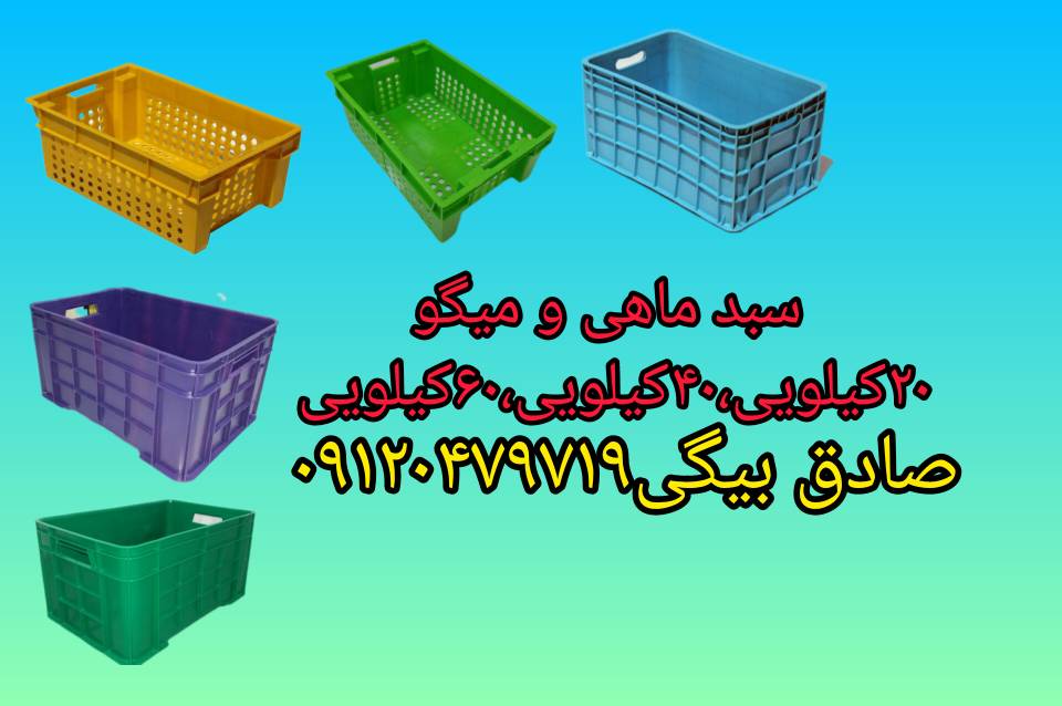 InShot_۲۰۲۴۰۶۱۳_۰۷۴۶۱۴۹۳۱ (2)