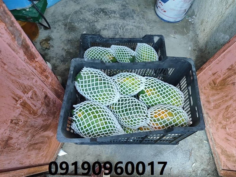 IMG-20240529-WA0030