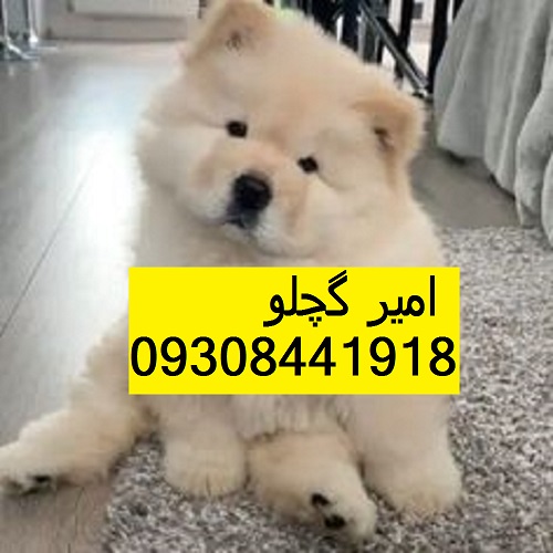913d37e3126ca328b659ed956ebe898e