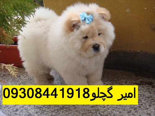 6ccdf7e037792eb8817af34acb657e7b