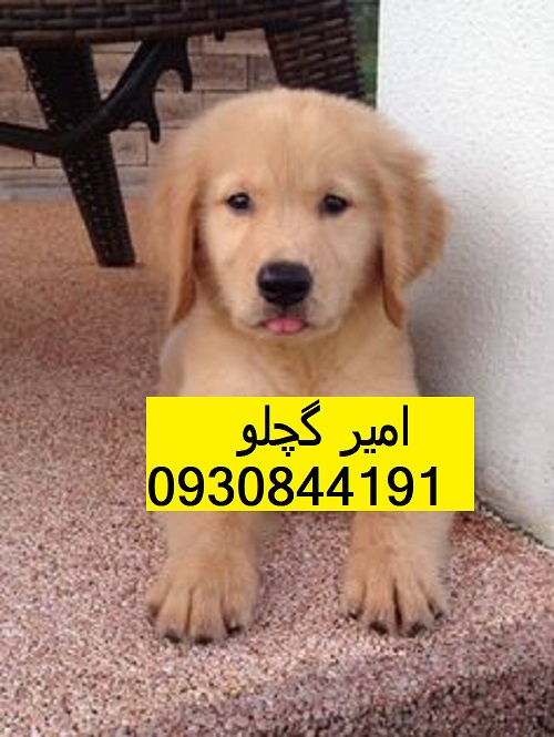 08409d1a993b89ed12b795c149899a64