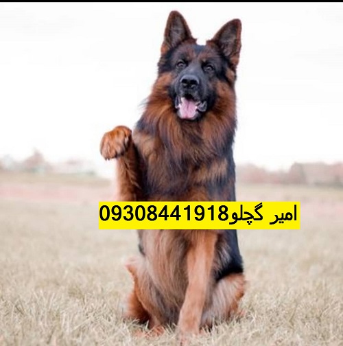 be964c7d-142c-4f44-8644-d10c8c8d8650