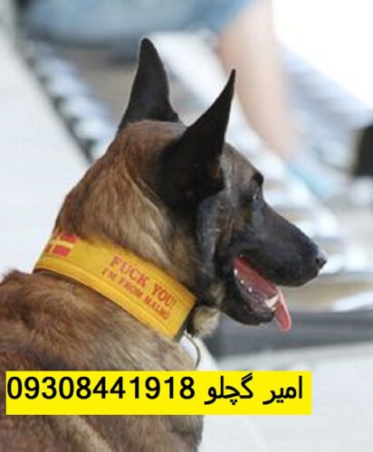 d690324701a056dbc55bb0ca0cbb7b40