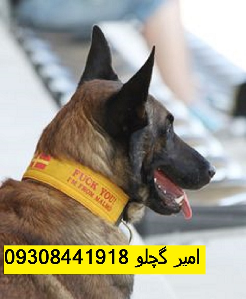 d690324701a056dbc55bb0ca0cbb7b40