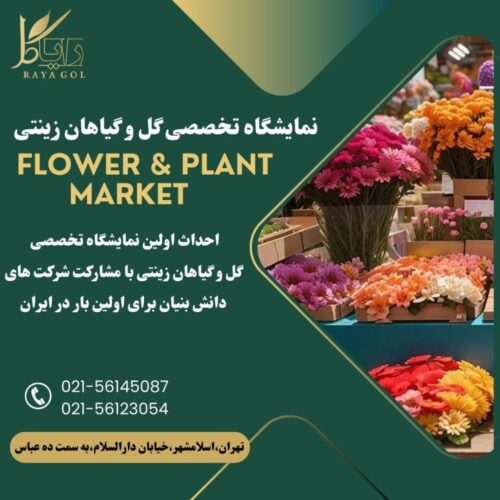 Green And Gold Corporate Business Grow With Us Instagram Post (17)