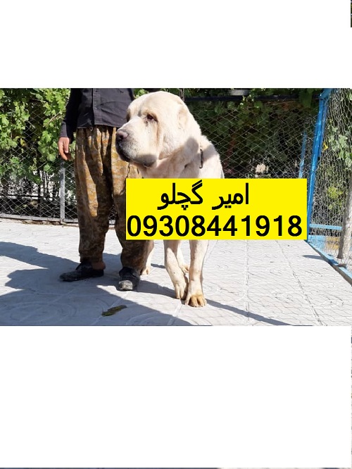 IMG-20191110-WA0000