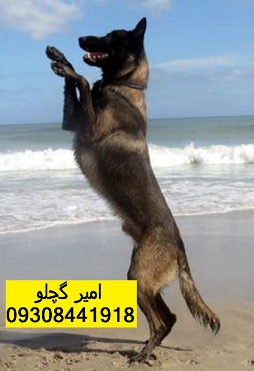 b3f67e36f888081421c5b2c57821f645