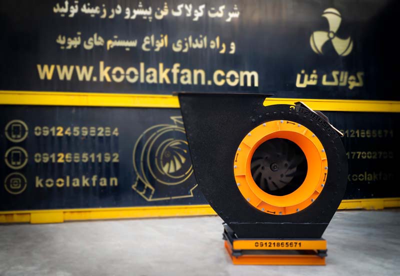 _DSC0848-Recovered_1