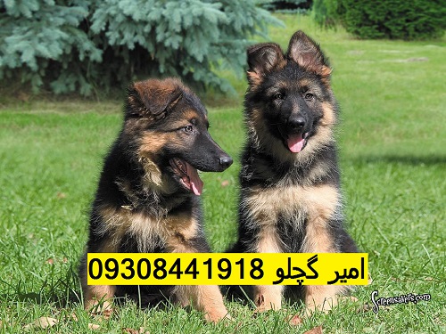 0b6e7f61b066b71a8ffef39293810a58
