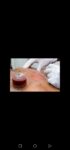 Screenshot_20240911_171337_com.android.gallery3d