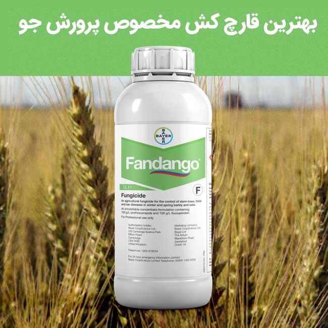 Fandango