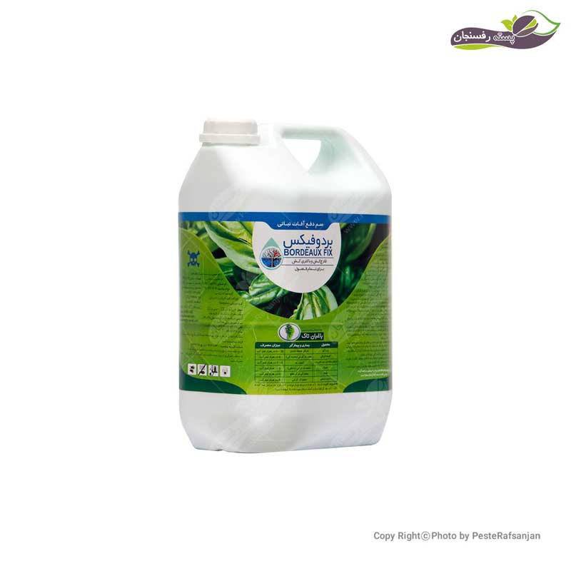 bordofix33