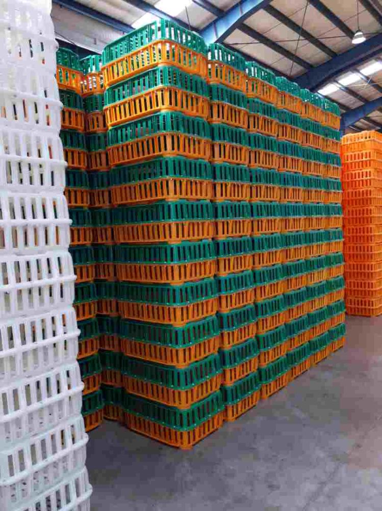 1000034820