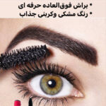 image_vyr3Oor (1)