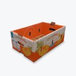 Corrugated-Fruit-Vegetable-Trays
