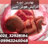 بهترین دوره افزایش هوش جنین