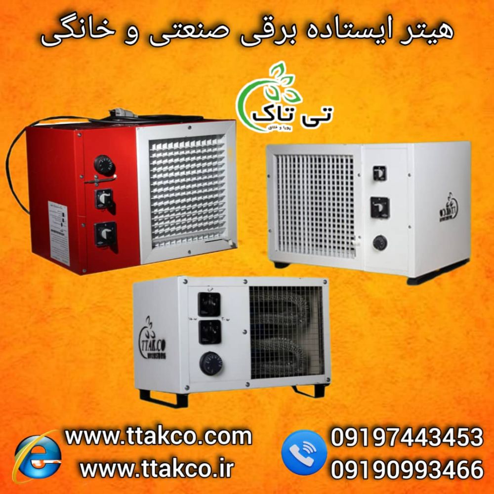 IMG-20241009-WA0008