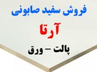 1000063613