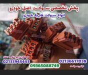 IMG-20241005-WA0027