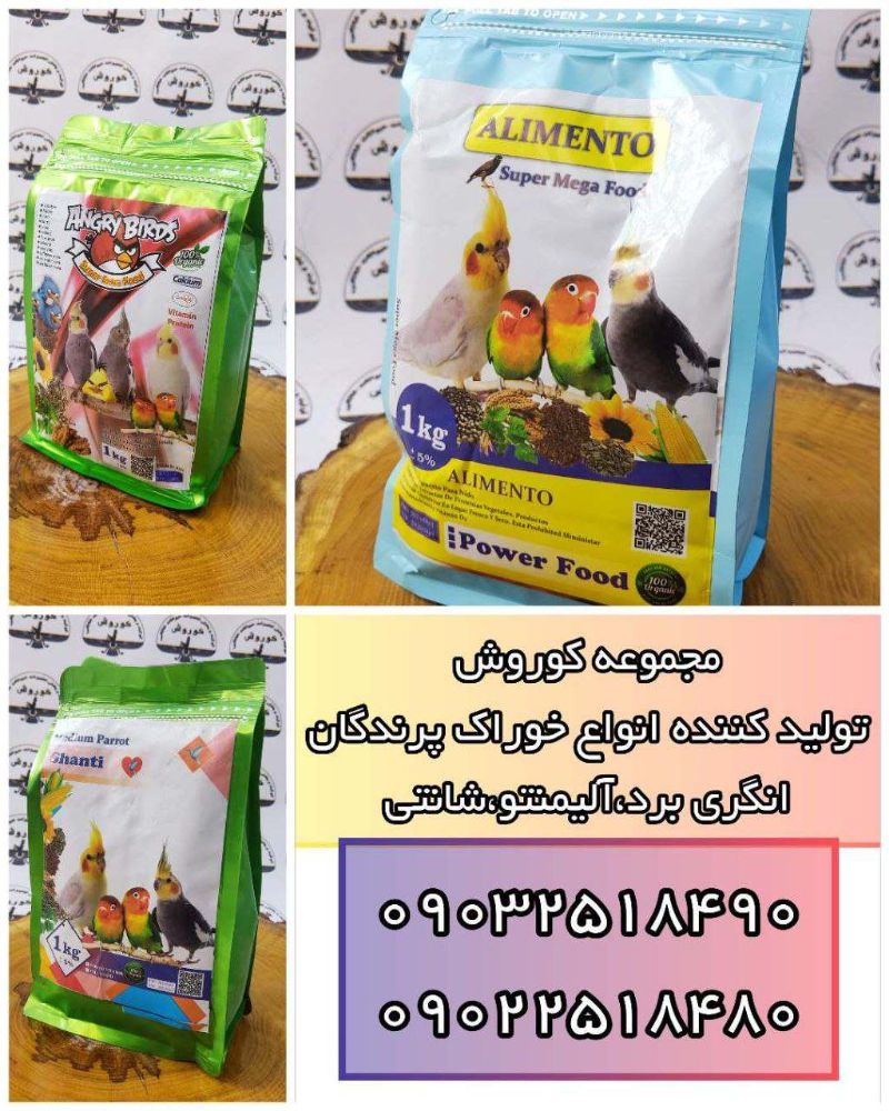 Picsart_24-11-17_12-35-04-947