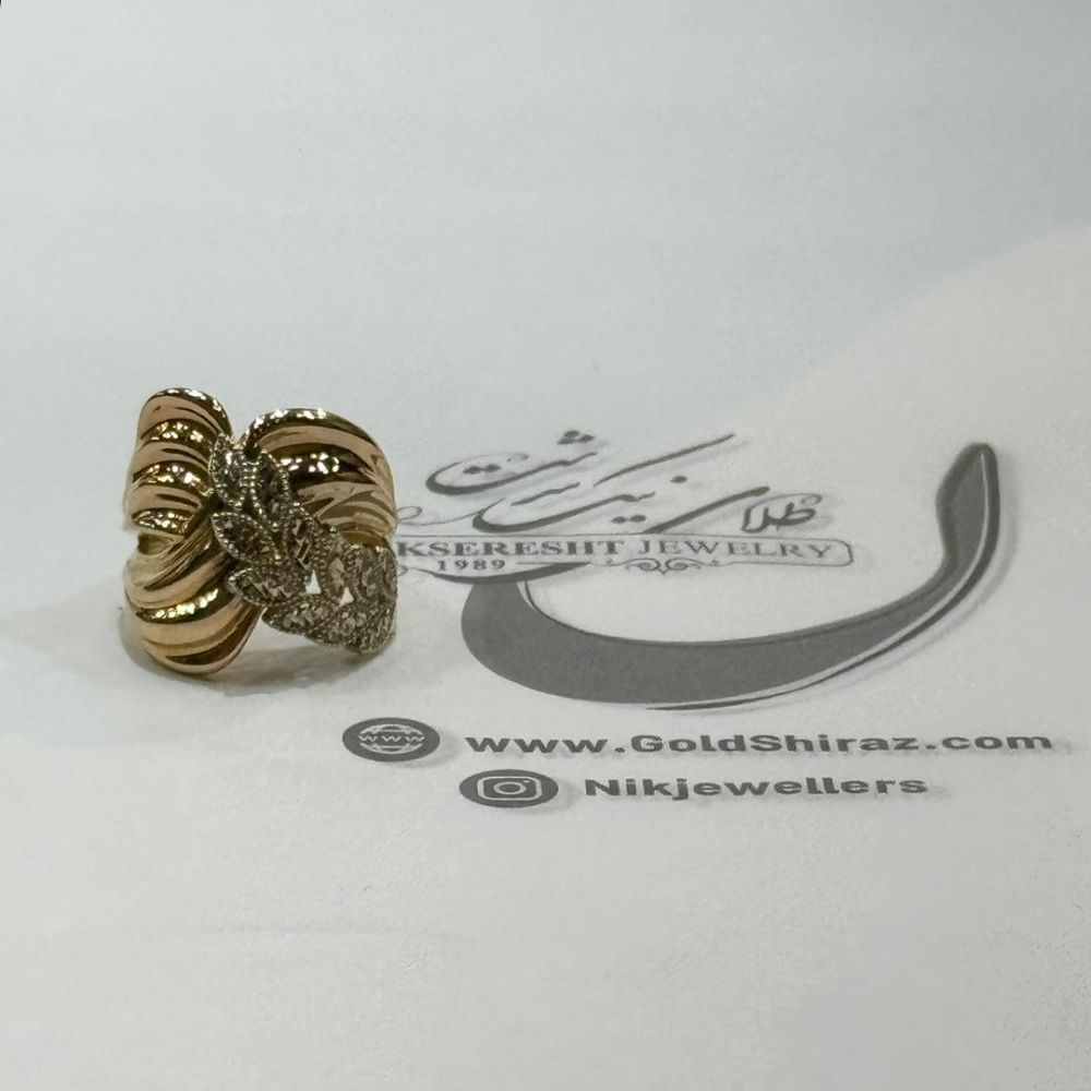 IMG-20241109-WA0016