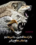 با گرگها قدم بزن با شیرها بدو با عقابهااوج بگیر
