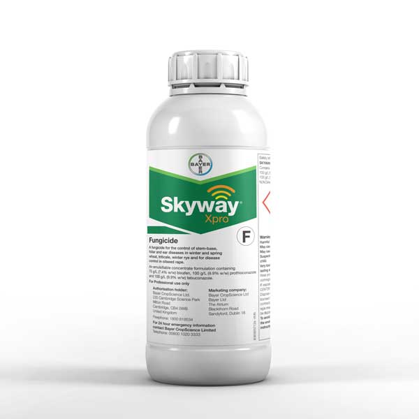 Skyway-Xpro