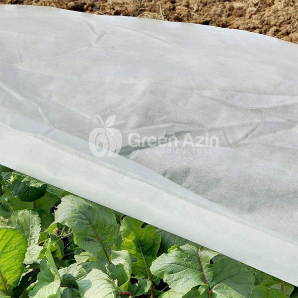 product_3dc91c9313038ce8c97966f7f4194aac