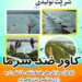 کاور گوجه فرنگی ضد سرما