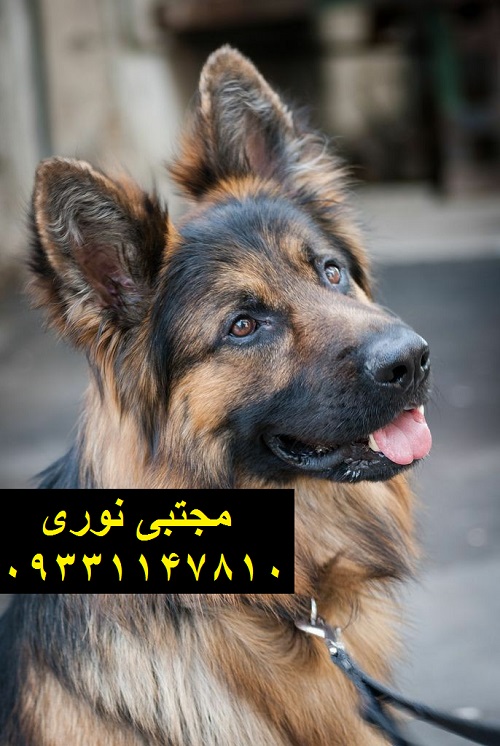 44c43989c4f9b07927529e461487122f - Copy