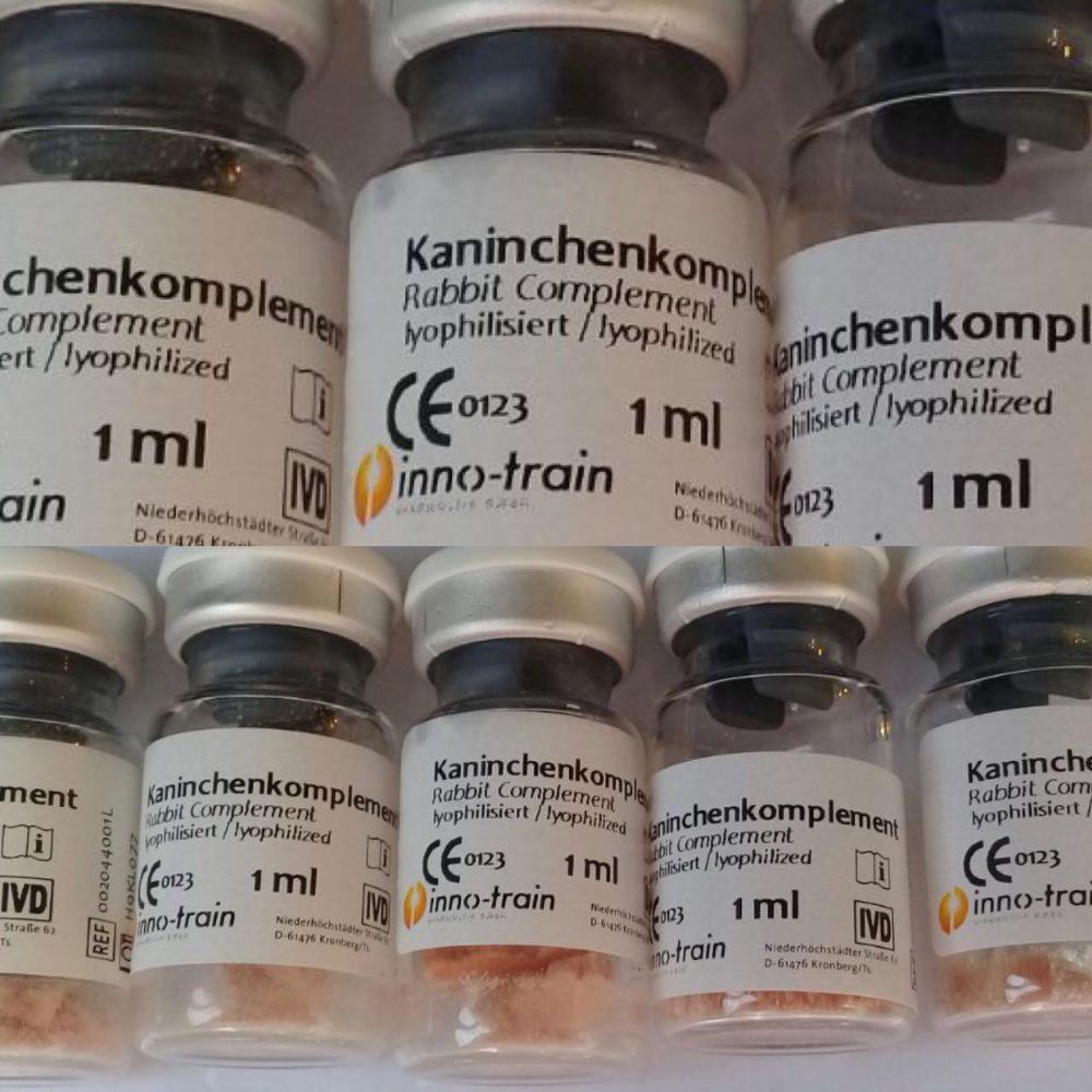کمپلمان خرگوش المانی اینوترین