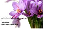 زعفران