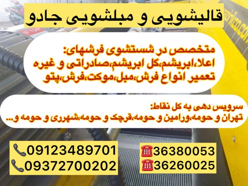 1000016266
