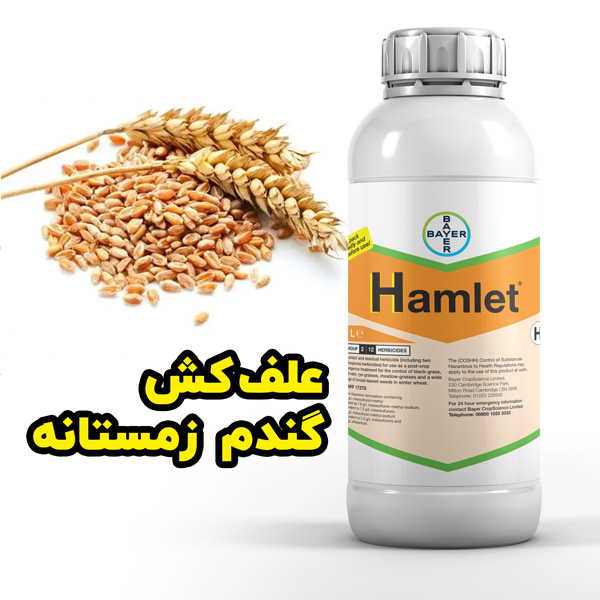 Hamlet
