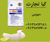متیونین9