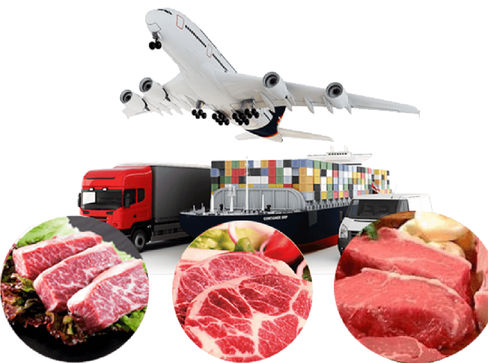 lazord-investment-meat-import