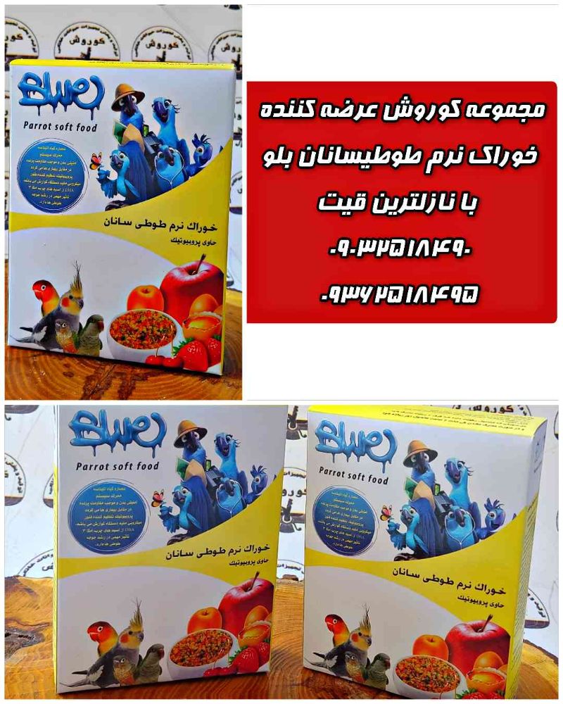 Picsart_24-12-16_12-32-26-066