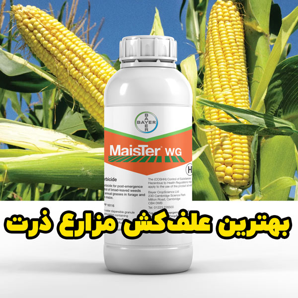 MaisterWG