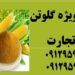 فروش  ویژه گلوتن ذرت
