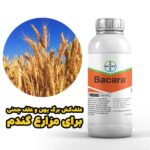 خرید بهترین علف‌کش برای مزارع گندم و جو | علف‌کش باکارا