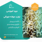 جوانه1