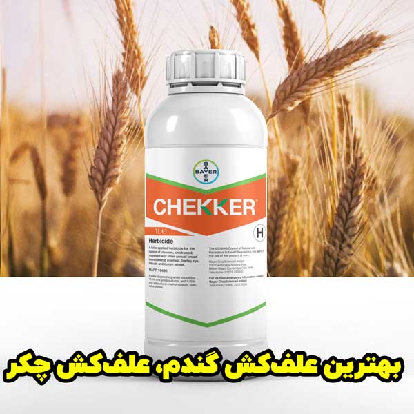 Chekker